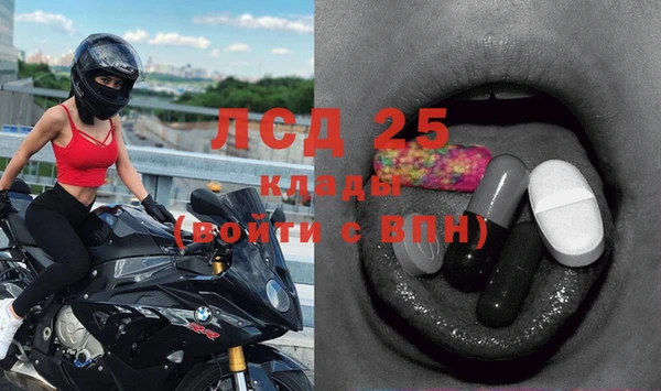 дживик Корсаков