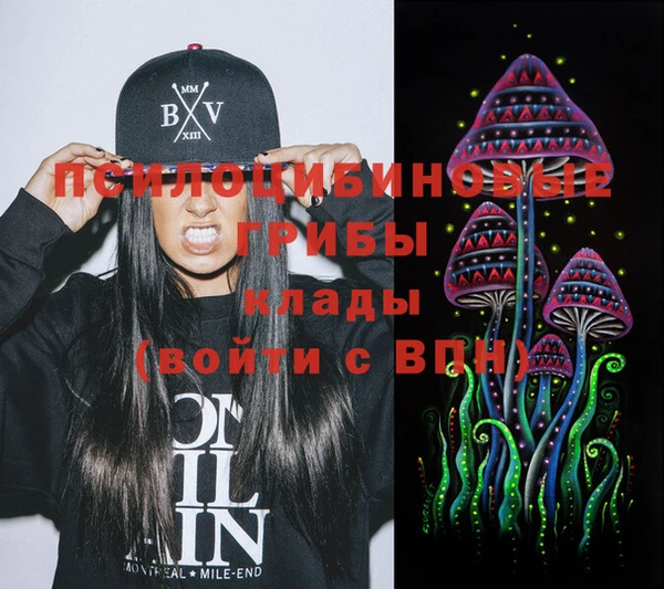 герыч Коряжма