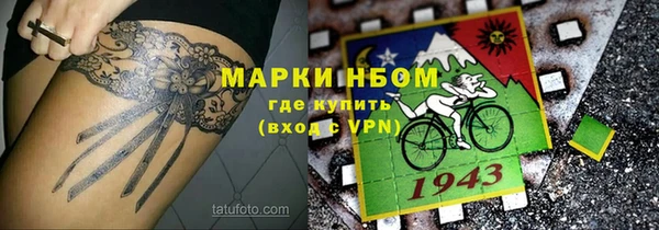 ECSTASY Костерёво