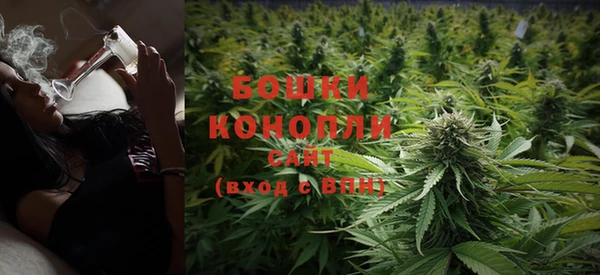 ECSTASY Костерёво
