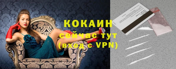 ECSTASY Костерёво