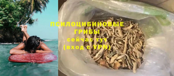 дживик Корсаков