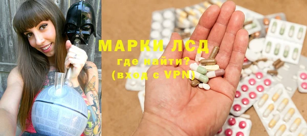 дживик Корсаков