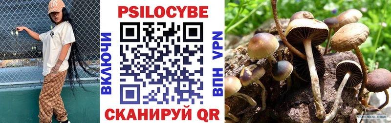 Купить где  Ревда  Псилоцибиновые грибы ЛСД 